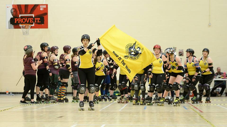 LRB, NCVR, Metal Legs & Reg Legs – a round up